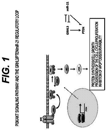 Drawing from US 10,000,816 B2