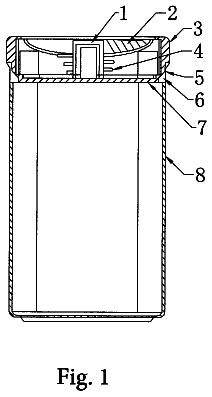 Drawing from US 10,029,833 B2