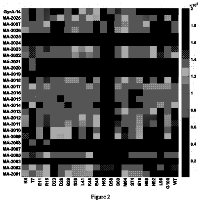 Drawing sheet 2 of US 11,221,339 B2