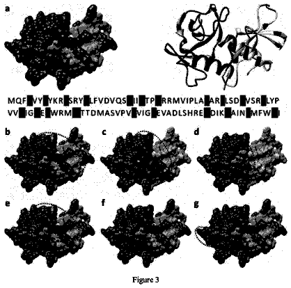 Drawing sheet 3 of US 11,221,339 B2