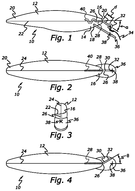 Drawing from US 11,246,300 B2