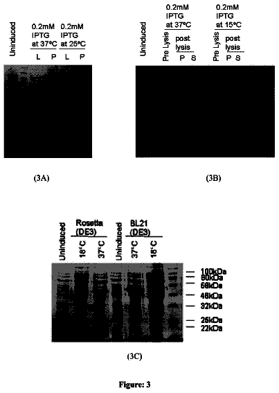 Drawing sheet 3 of US 11,273,215 B2