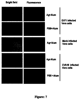 Drawing sheet 7 of US 11,273,215 B2