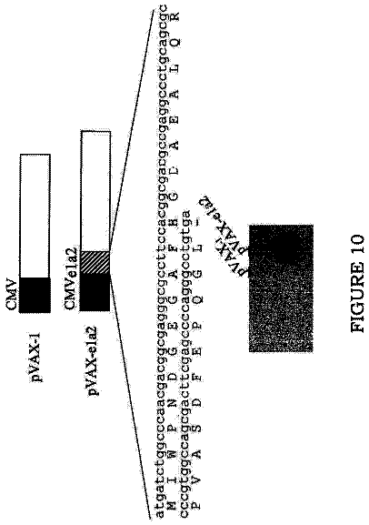 Drawing sheet 8 of US 11,298,398 B2