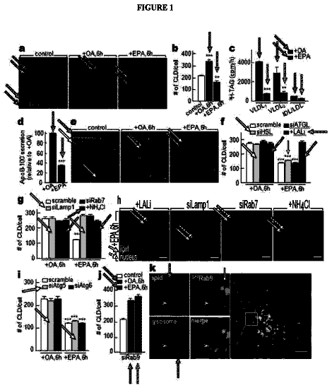 Drawing from US 11,298,402 B2
