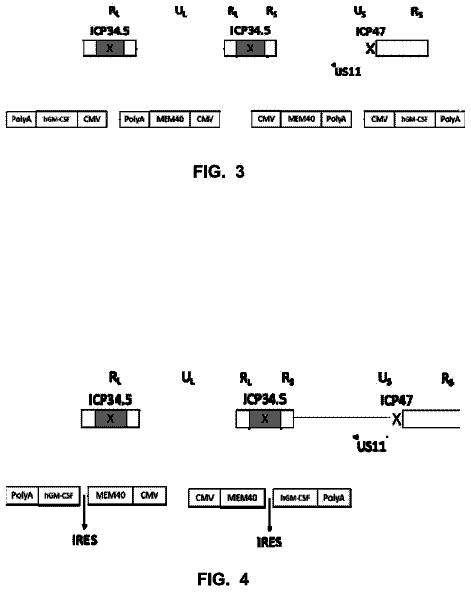 Drawing sheet 2 of US 11,298,420 B2