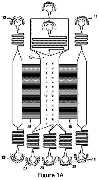 Drawing from US 11,298,699 B2