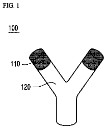 Drawing from US 2019/0216362 A1