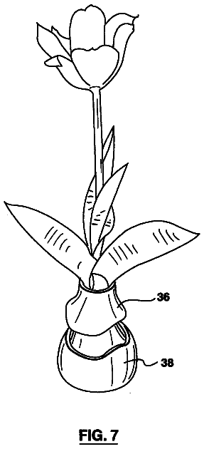 Drawing sheet 5 of US 6,694,671 B2