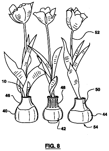 Drawing sheet 6 of US 6,694,671 B2