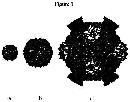 Drawing from US 8,507,778 B2