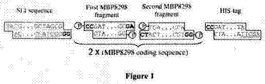 Drawing from US 8,527,211 B2