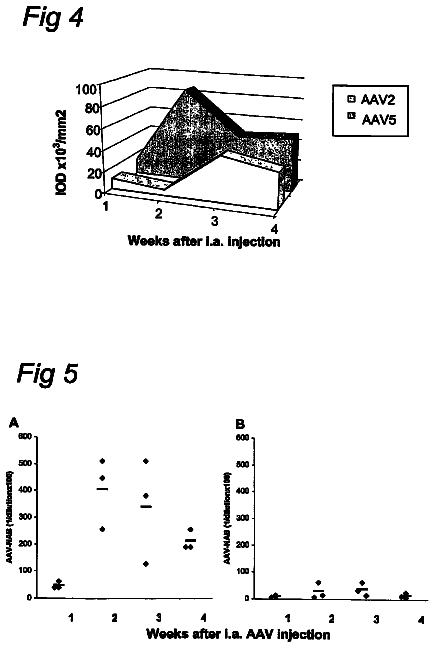 Drawing sheet 3 of US 8,529,885 B2