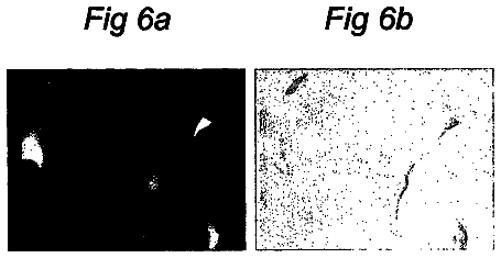 Drawing sheet 4 of US 8,529,885 B2