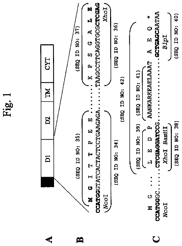 Drawing sheet 1 of US 8,535,908 B2