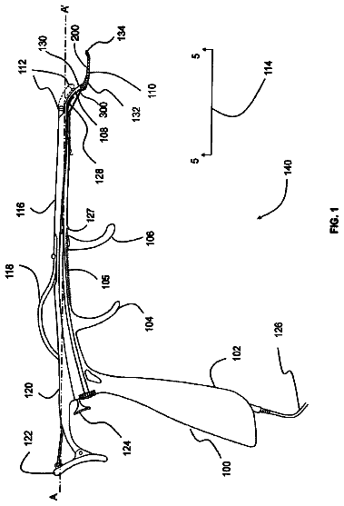 Drawing from US 8,540,738 B2