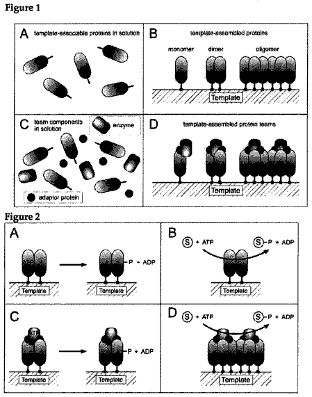 Drawing sheet 1 of US 8,541,190 B2