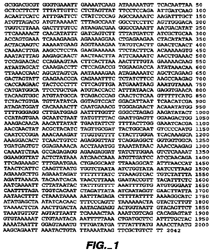 Drawing from US 8,541,376 B2
