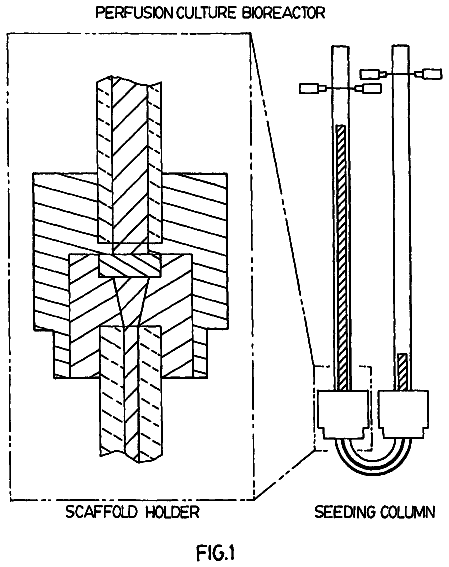 Drawing from US 8,546,142 B2
