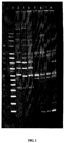 Drawing from US 8,551,757 B2