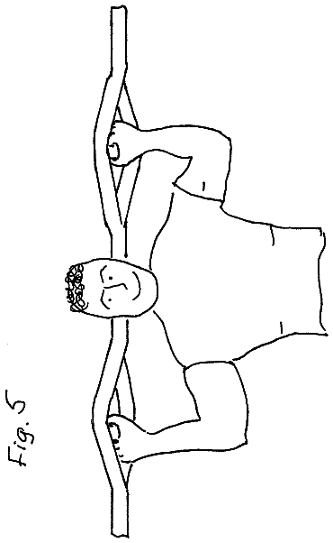 Drawing sheet 8 of US 8,556,781 B1