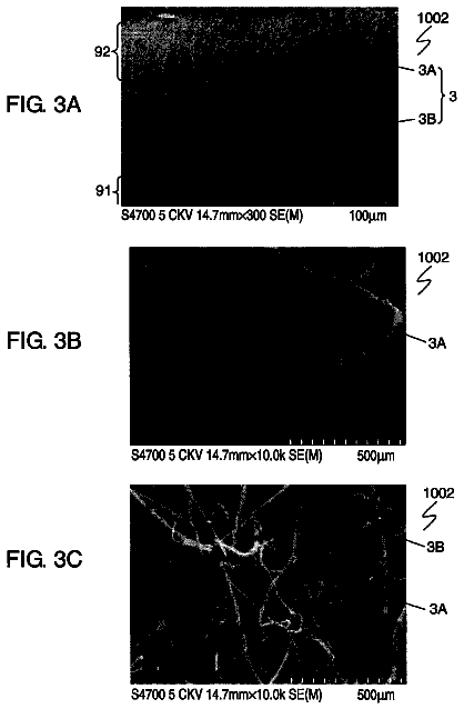 Drawing sheet 2 of US 8,557,195 B2