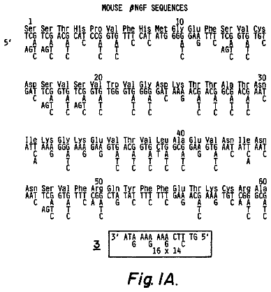 Drawing from US 8,557,768 B1