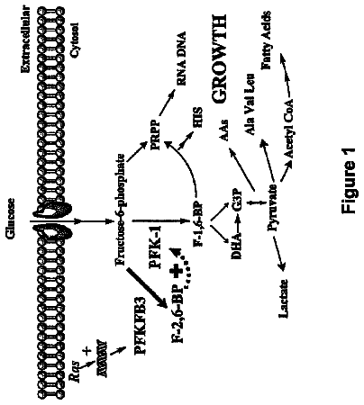 Drawing from US 8,557,823 B2