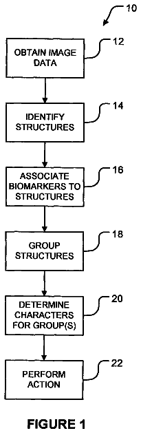 Drawing from US 8,559,693 B2