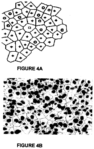 Drawing sheet 4 of US 8,559,693 B2