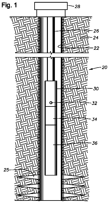 Drawing from US 8,568,081 B2