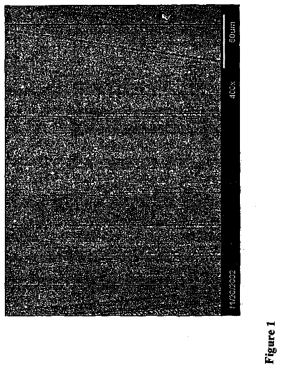 Drawing from US 8,569,398 B2
