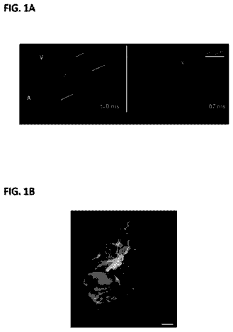 Drawing from US 8,575,570 B2