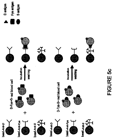 Drawing sheet 7 of US 8,580,531 B2