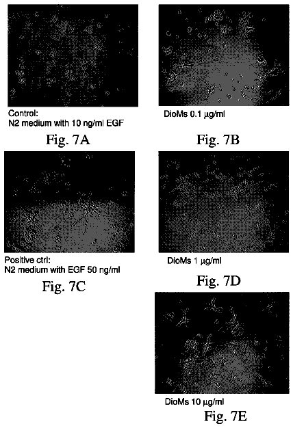 Drawing sheet 7 of US 8,597,700 B2