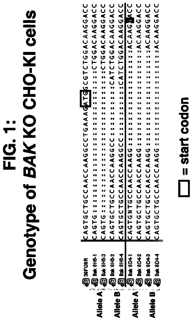 Drawing from US 8,597,912 B2
