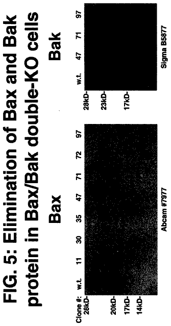 Drawing sheet 7 of US 8,597,912 B2