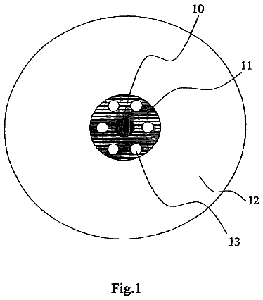 Drawing from US 8,600,207 B2