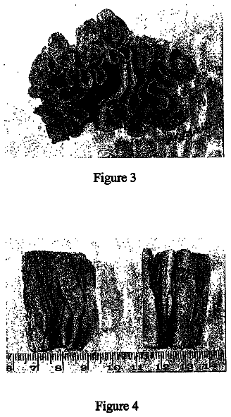 Drawing sheet 2 of US 8,613,966 B2