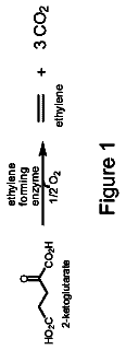 Drawing from US 8,617,862 B2