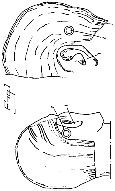Drawing from US 8,620,015 B2