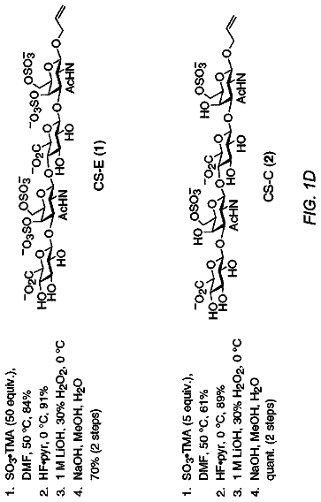 Drawing sheet 5 of US 8,623,610 B2