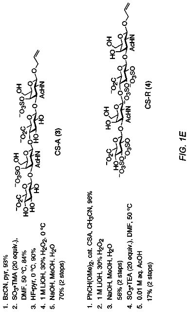 Drawing sheet 6 of US 8,623,610 B2
