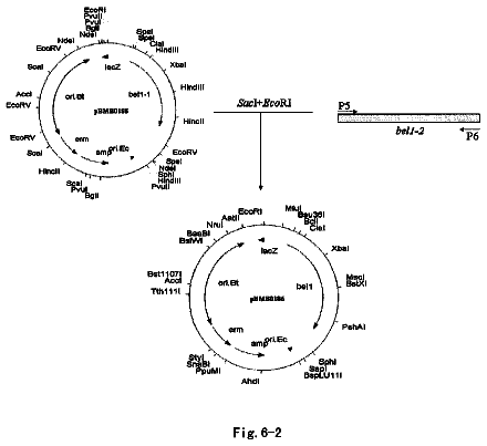 Drawing sheet 7 of US 8,623,651 B2