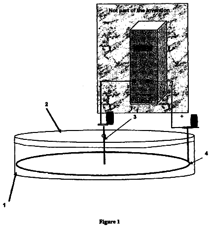 Drawing from US 8,628,651 B2