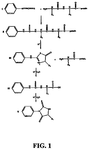 Drawing from US 8,628,974 B2