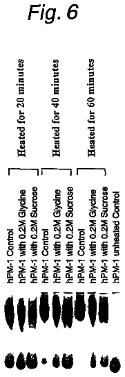 Drawing sheet 6 of US 8,632,778 B2