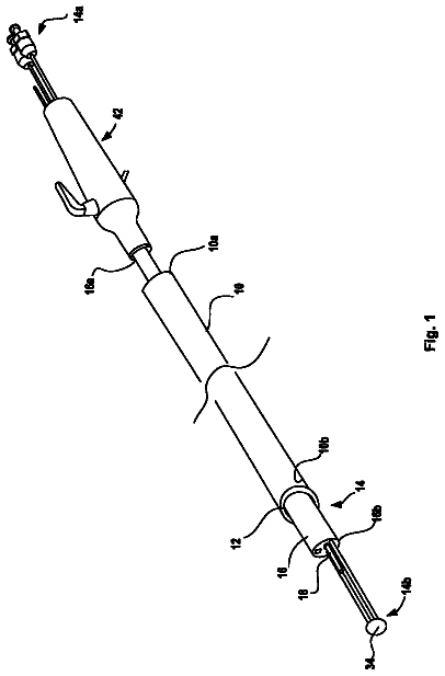 Drawing from US 8,636,651 B2
