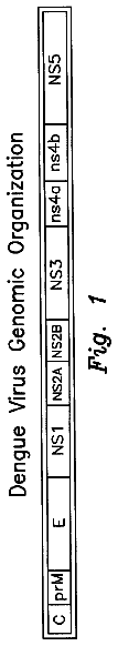 Drawing from US 8,637,472 B2