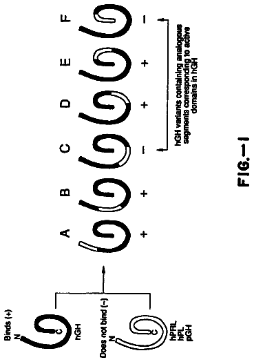 Drawing from US 8,637,646 B2